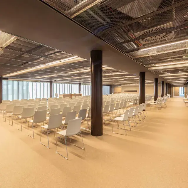 False ceiling in the conference hall