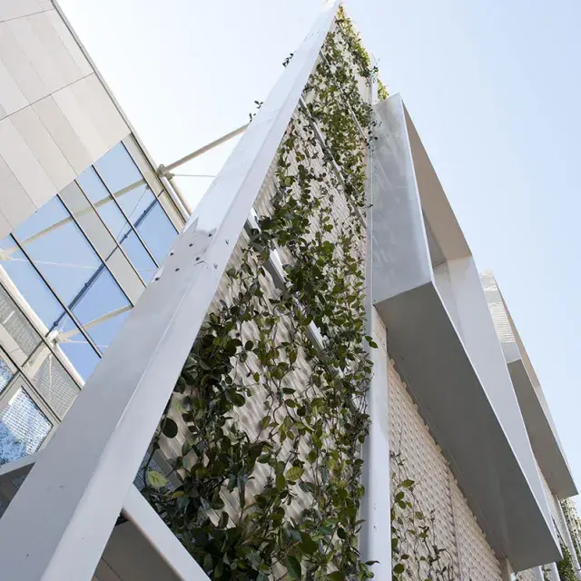 Expanded metal wall seen from below